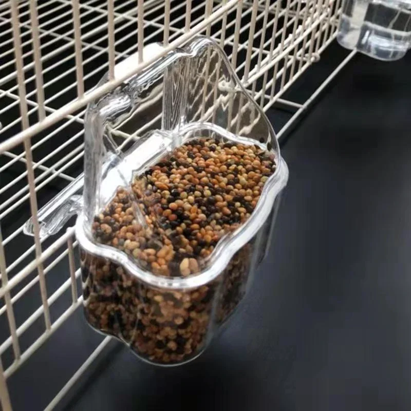 Alimentador para Pássaros Transparente de Plástico com Escudo Antirrespingo - Imagem 3