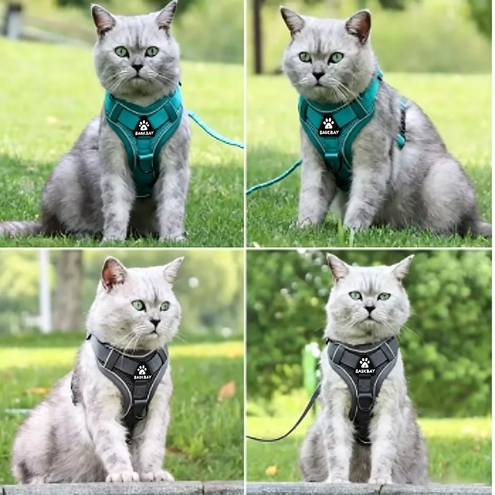 Conjunto de Peitoral e Guia para Cães Pequenos Ajustável e Refletivo - Imagem 5