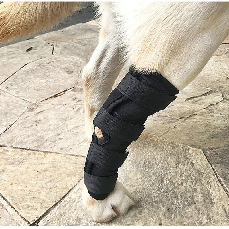 Joelheira para Cães de Recuperação Anti-Lambedura Pós-Operatória - Imagem 4