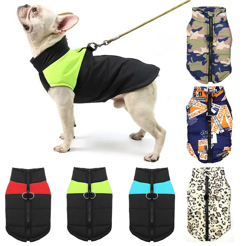 jaqueta impermeável para cães