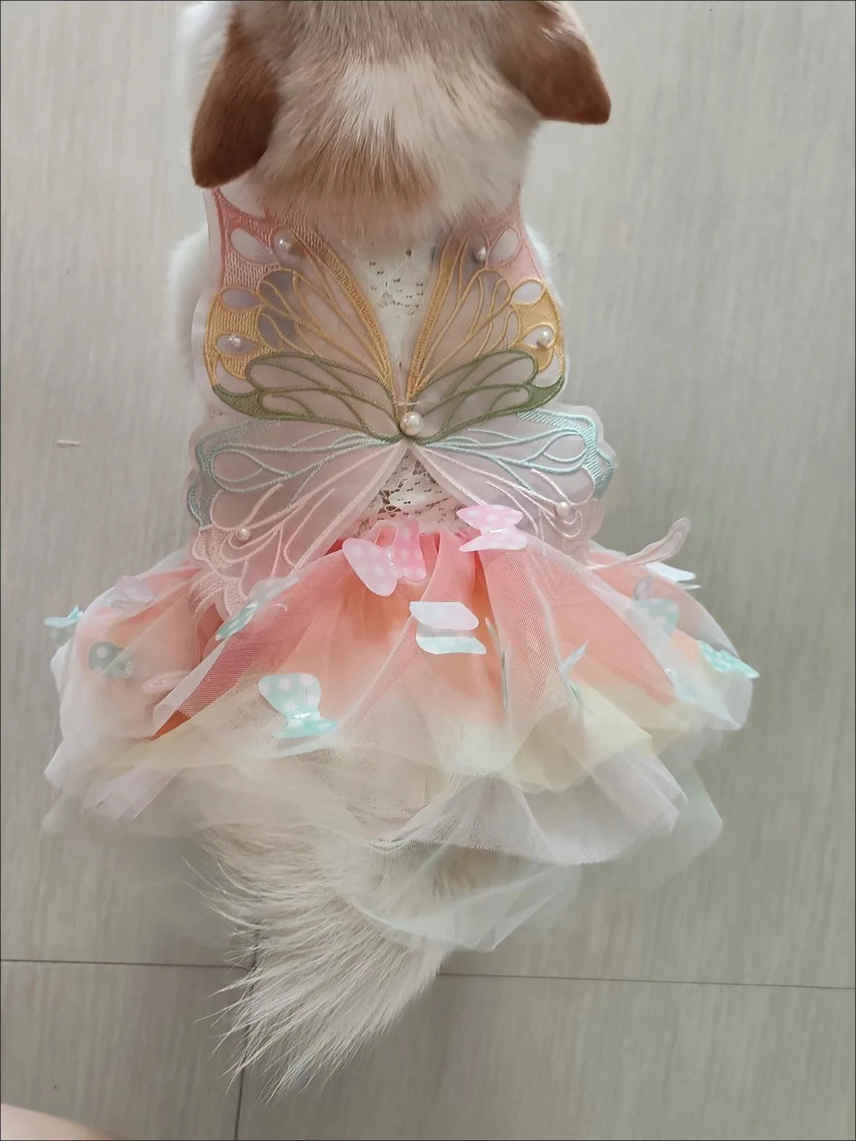 Vestido de Princesa para Cães Pequenos de Poliéster com Renda - Imagem 3