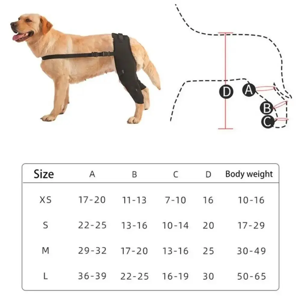 Suporte de Perna para Cães com Alça Ajustável - Imagem 6