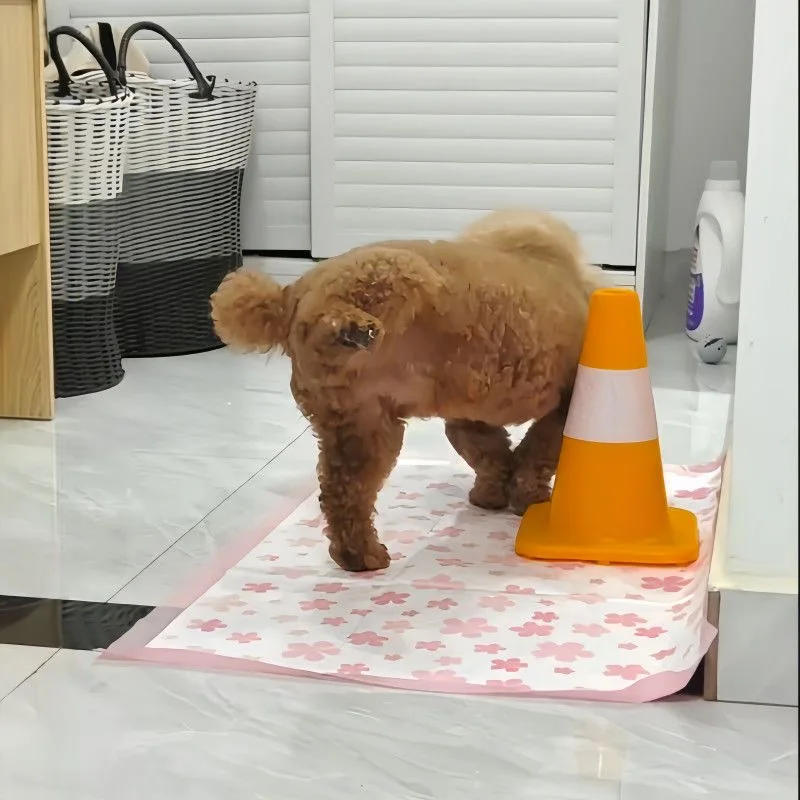 Sanitário Canino para Cães Lavável e Reutilizável - Imagem 4