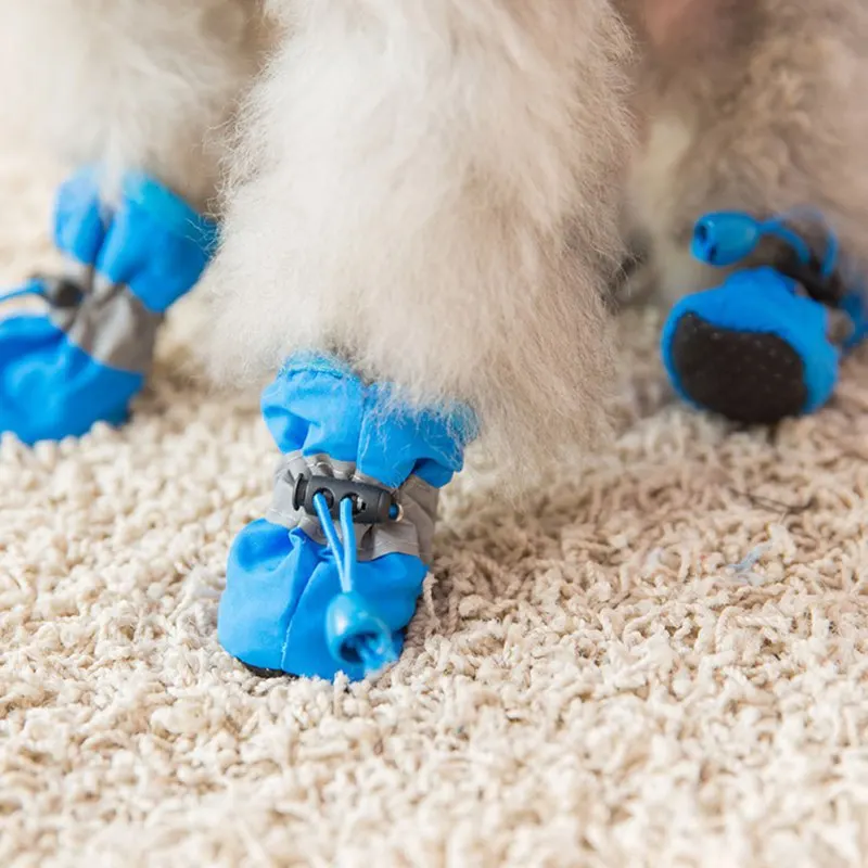 Botas para Cães Pequenos Impermeáveis com 4 peças para Passeio - Imagem 3