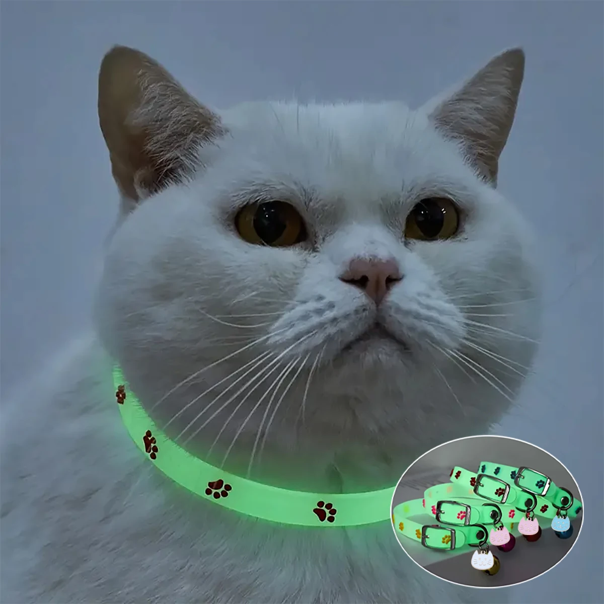 coleira luminosa para gatos