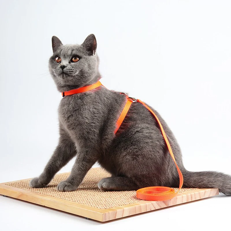 Coleira de Nylon Ajustável para Gatos e Coelhos Multicolorida - Imagem 6