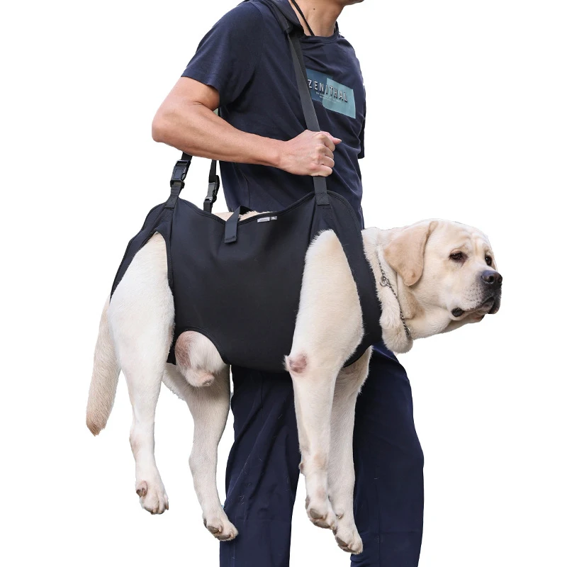 Arnês de Suporte para Cães de Tecido Oxford Ajustável - Imagem 2