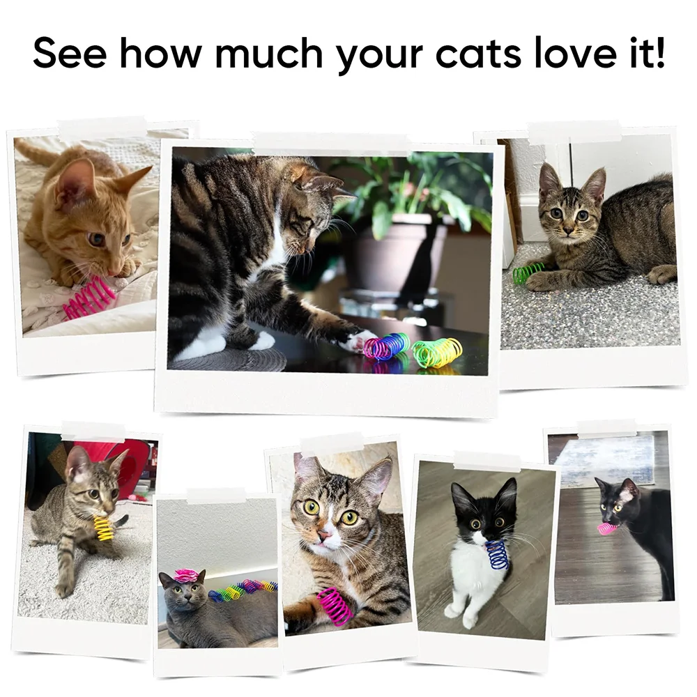 Brinquedo Mola para Gatos com 20/40/60 Peças para Brincadeiras - Imagem 4