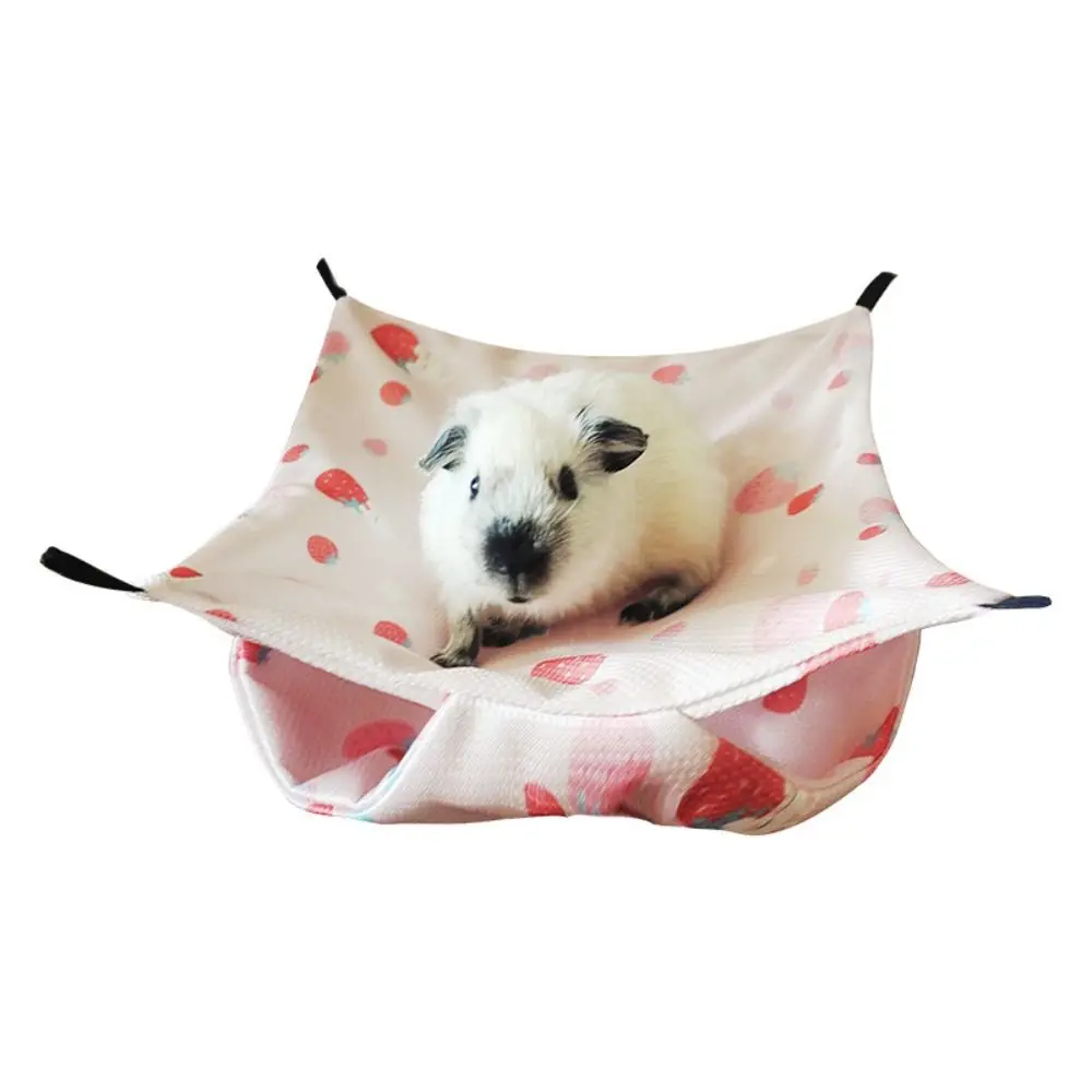 Rede de Descanso para Esquilos e Hamsters de Poliéster 18x18 cm - Imagem 3