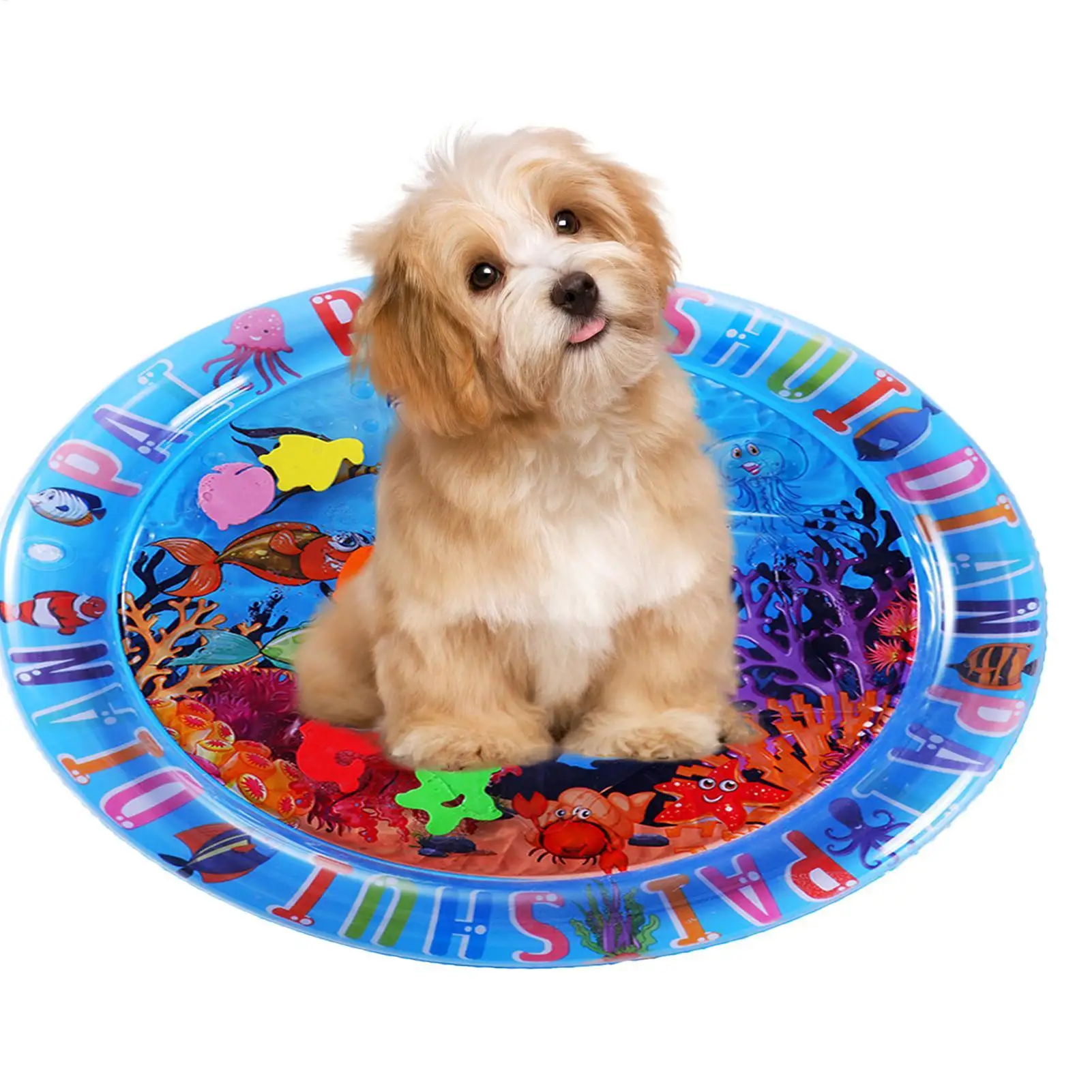 Tapete de Água Inflável para Cães e Gatos Tema Oceano - Image 4
