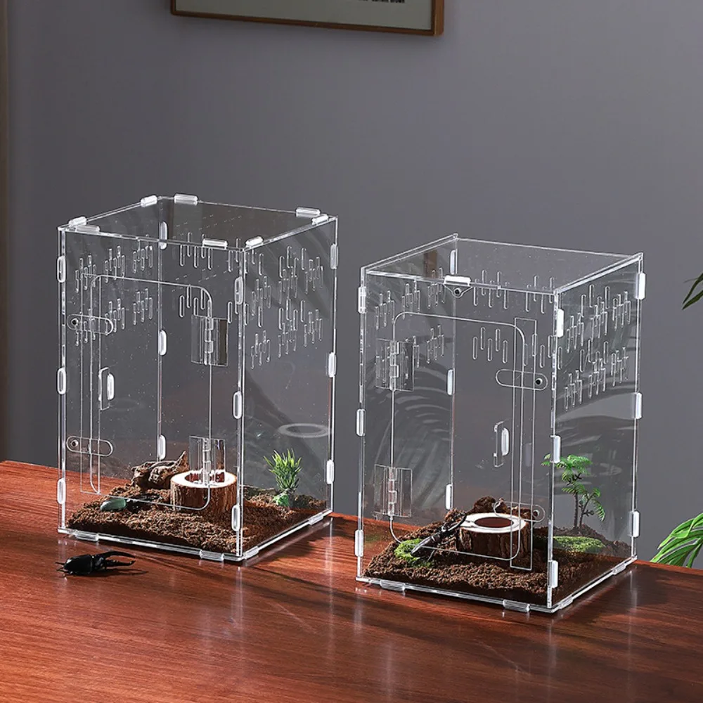 Terrário Acrílico para Aranha Saltadora 40x20x20cm com 2 Portas - Imagem 4