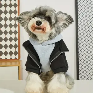moletom quente para cães pequenos e médios