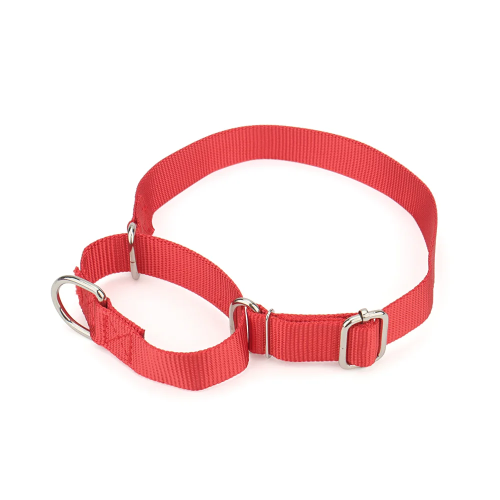 Coleira Martingale para Cães de Nylon Ajustável com Fivela de Metal - Imagem 6