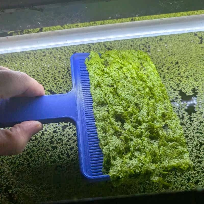 Escumadeira para Aquário para Remover Plantas Flutuantes - Imagem 5