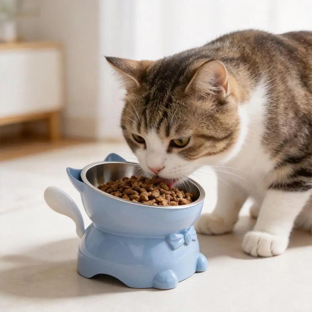 Tigela Elevada para Gatos de Inox Inclinada com Tigela Removível - Image 3