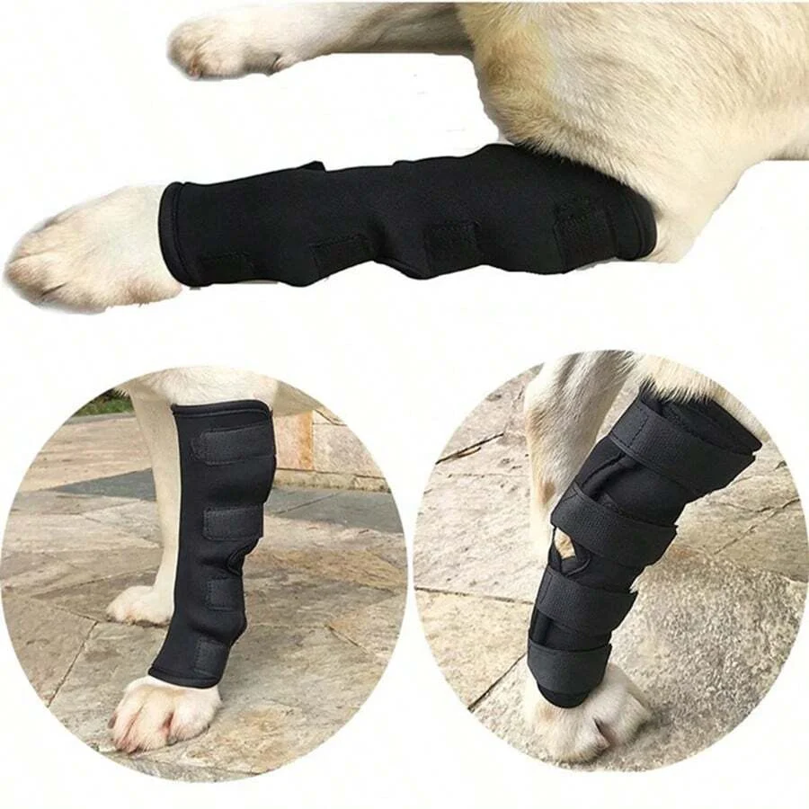 Suporte de Perna para Cães com Alça Ajustável - Imagem 6
