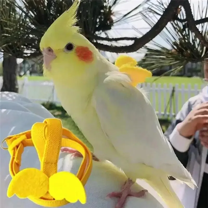 Coleira e Guia para Papagaios e Calopsitas de Corda Elástica 200 cm - Imagem 2
