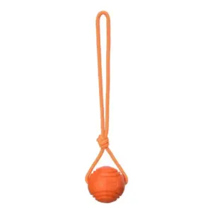 bola de treinamento para cães com corda
