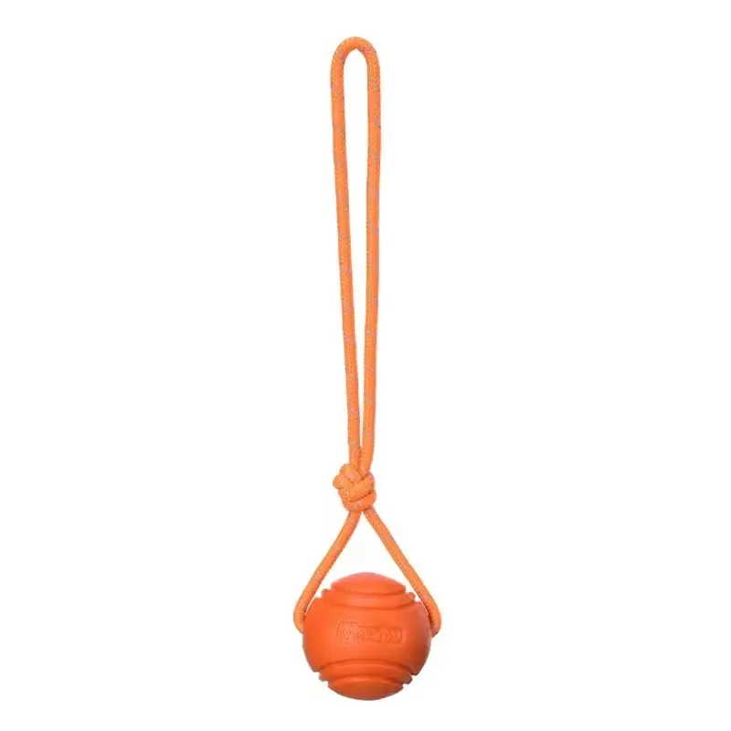 bola de treinamento para cães com corda