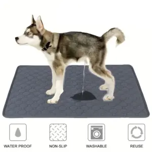 tapete absorvente reutilizável para cães