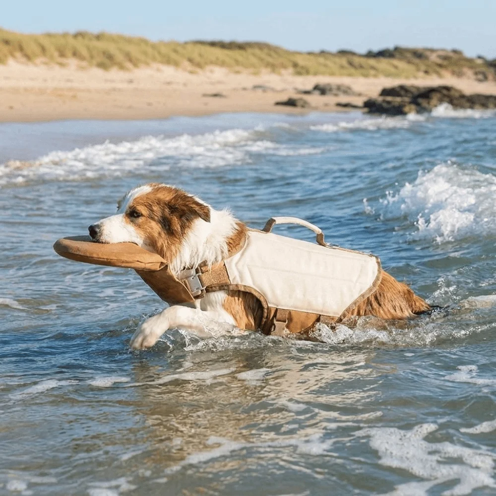 Colete Salva-Vidas para Cães com Alça de Segurança Ajustável - Image 4