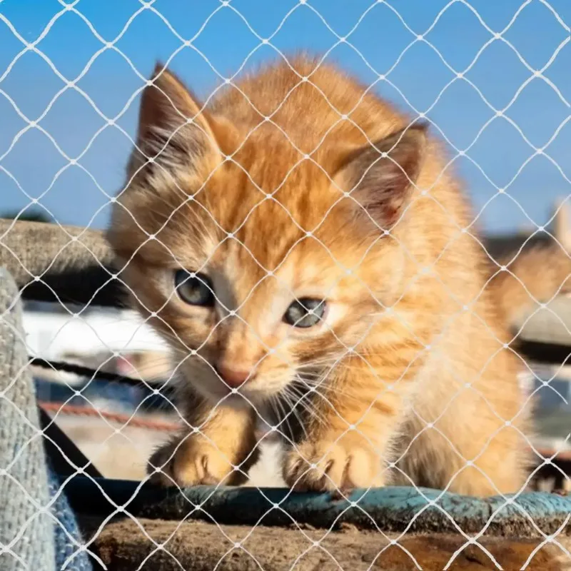 Rede de Proteção para Gatos em Nylon Anti-Queda para Varanda - Imagem 4