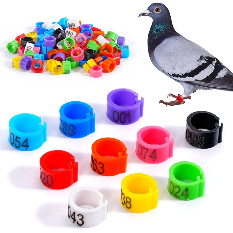anel de identificação para pombos 9mm