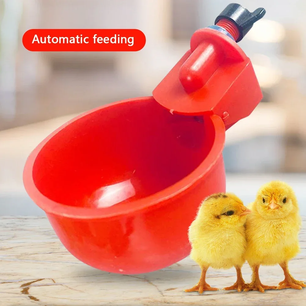 Bebedouro Automático para Aves Anti-Poluição 10,5x4cm - Imagem 6