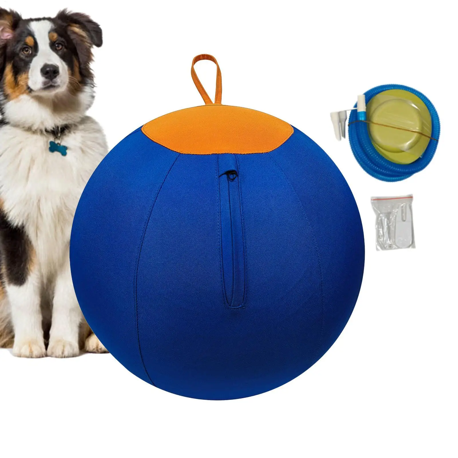 bola interativa para cães