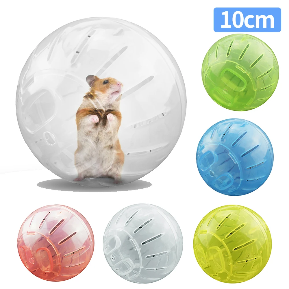 sport ball para roedores