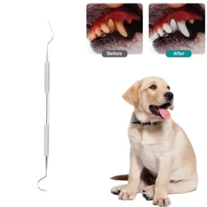 kit limpeza dental para cães e gatos