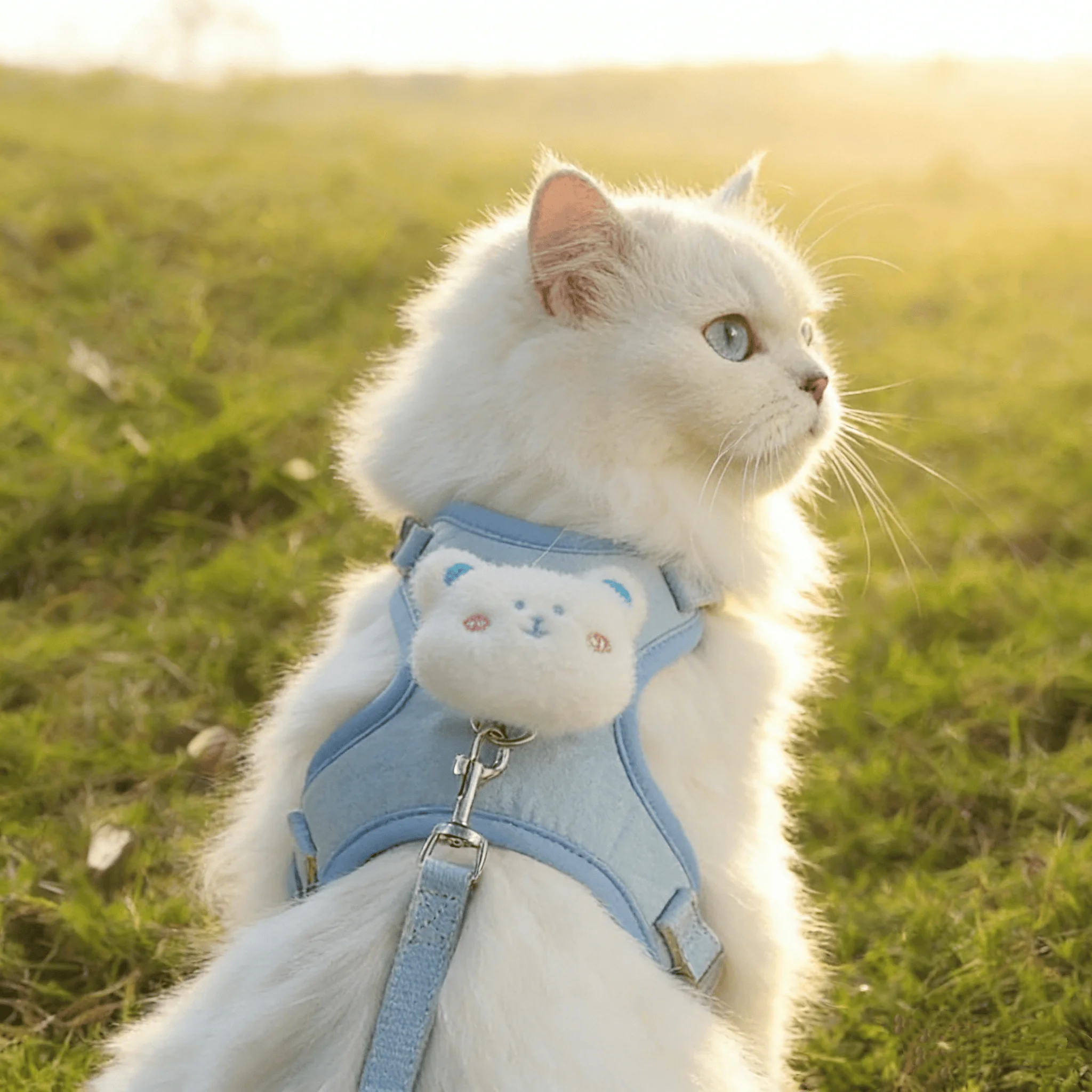 Coleira Peitoral para Cães Respirável Anti-Perdido com Estampa Floral - Imagem 2