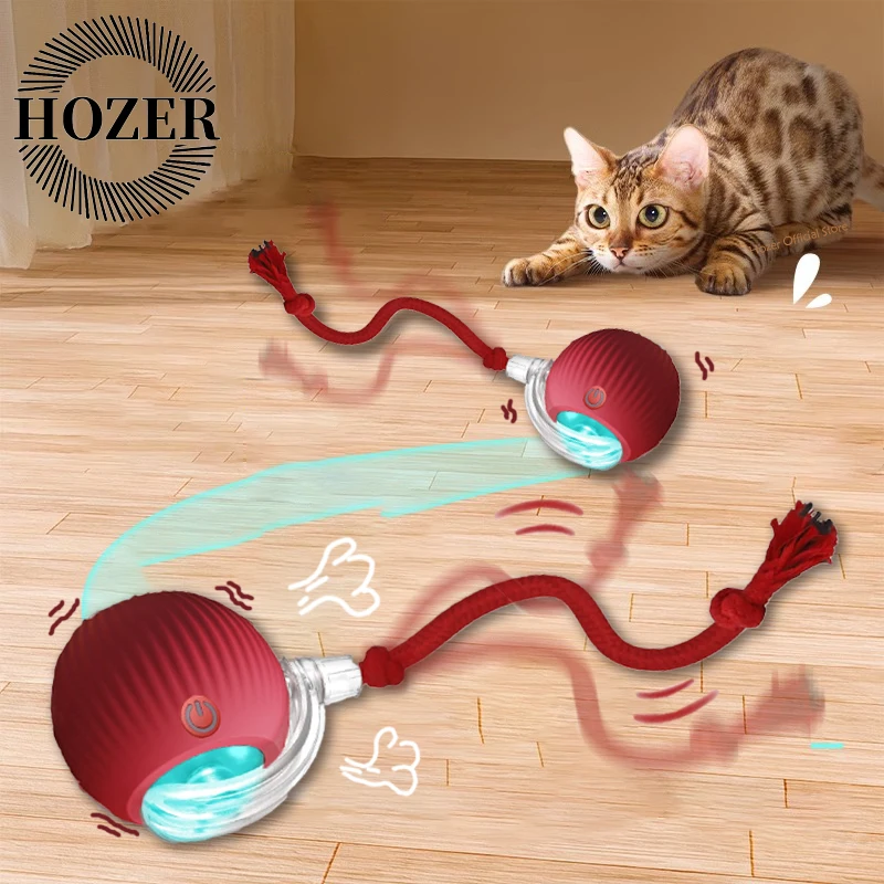 bola interativa para gatos