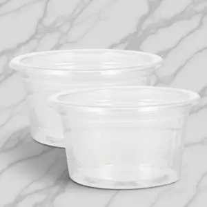 tigela transparente para répteis