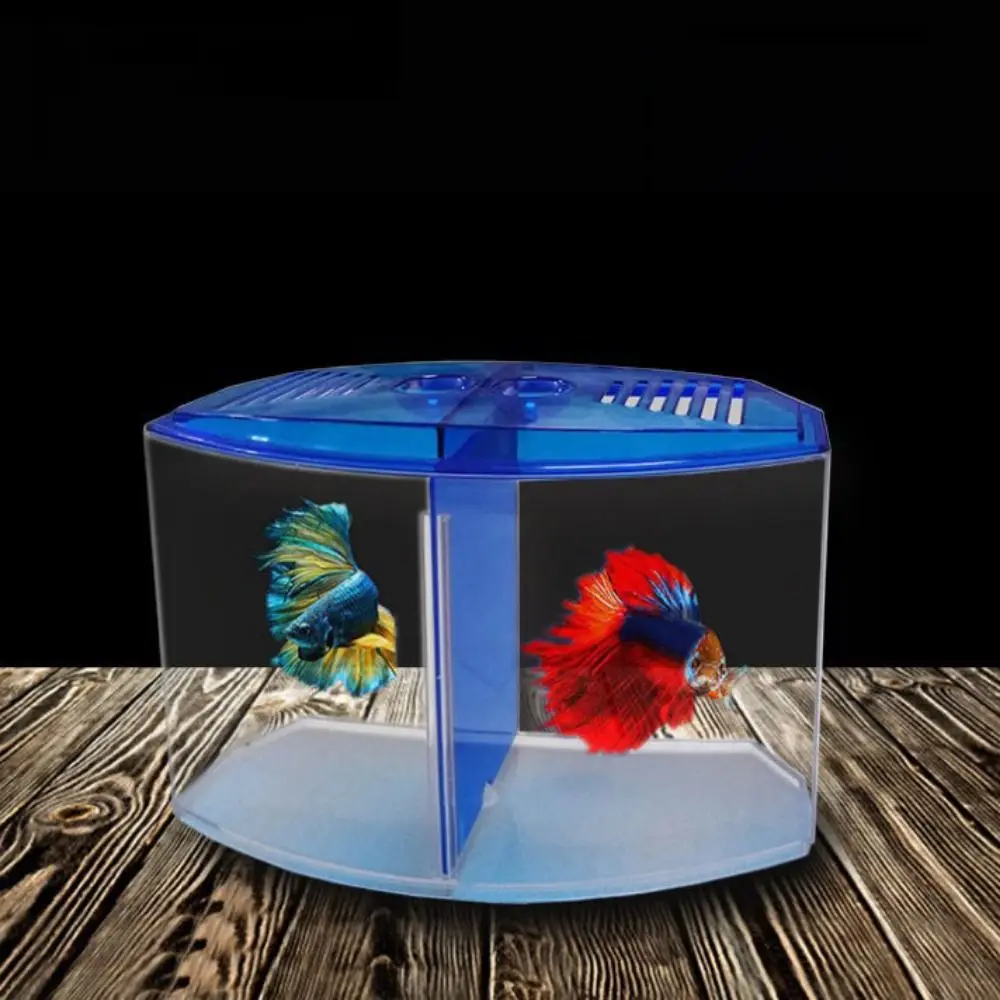 Aquário Duplo para Betta e Guppy com Isolamento Branco - Image 4