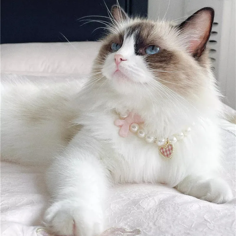 Coleira de Pérolas para Gatos e Cães Pequenos com Laço e Pingente - Image 3
