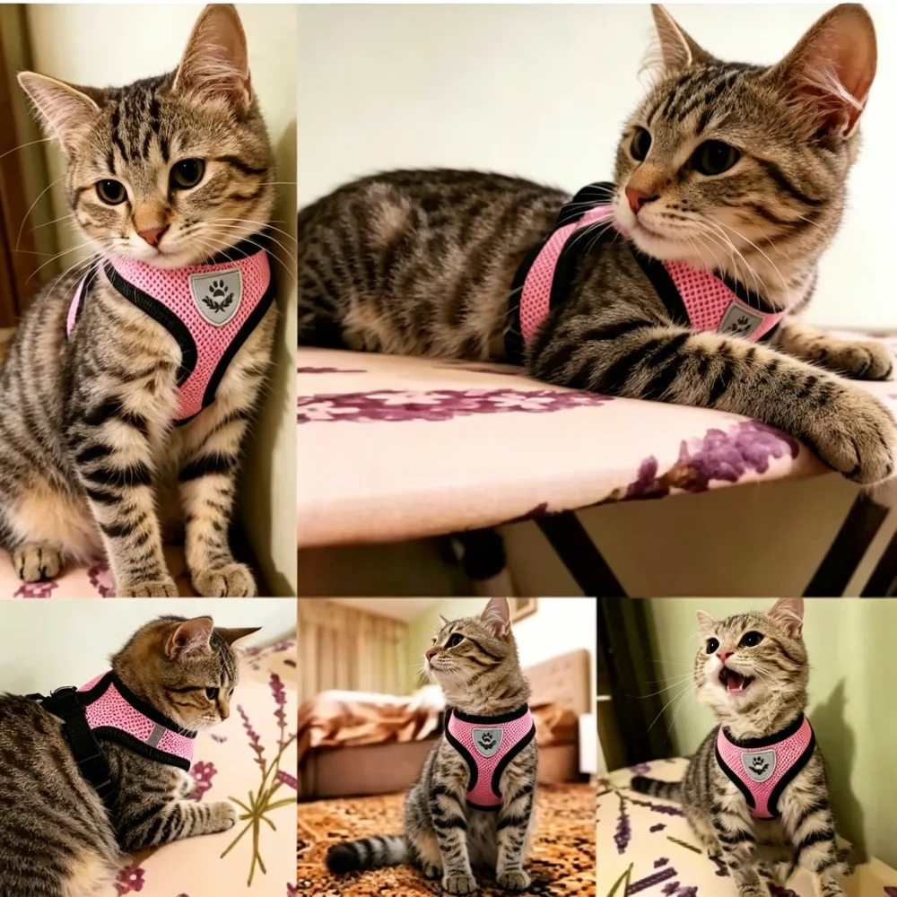 Coleira Peitoral para Cães e Gatos Pequenos com Guia Refletiva - Image 5