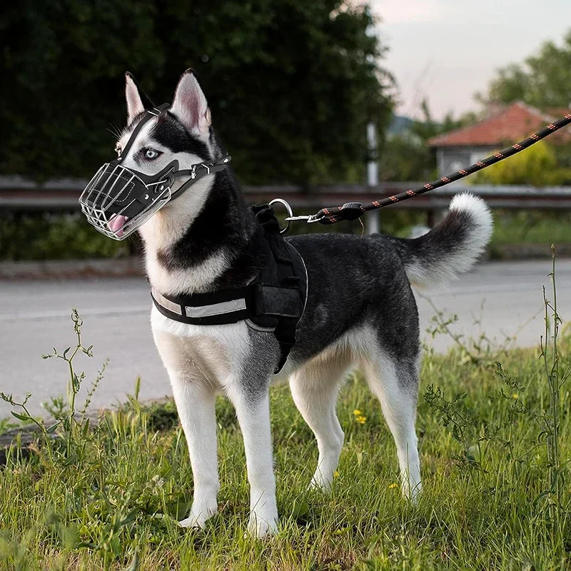Focinheira de Couro para Cães com Cesta de Metal Ajustável - Image 2