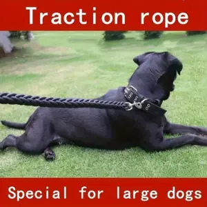 trela trançada para cães