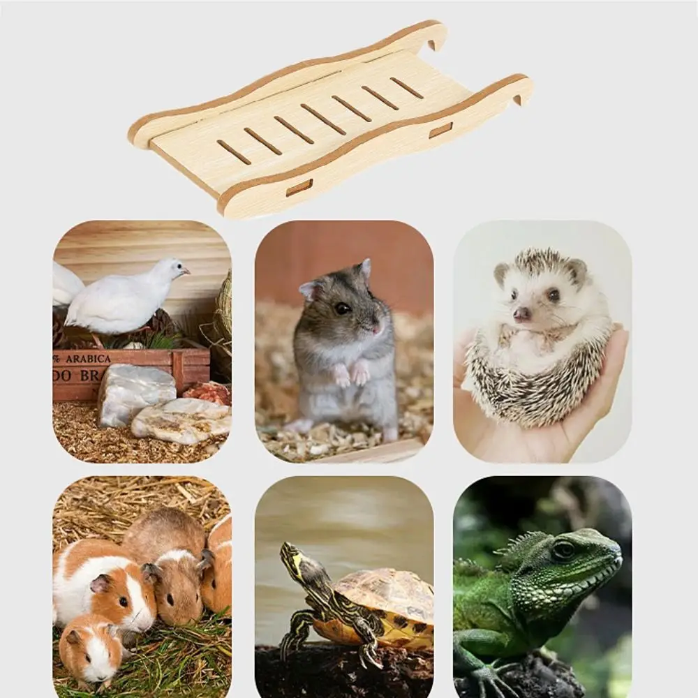 Escada de Madeira para Hamster Ponte Suspensa para Roedores - Imagem 2