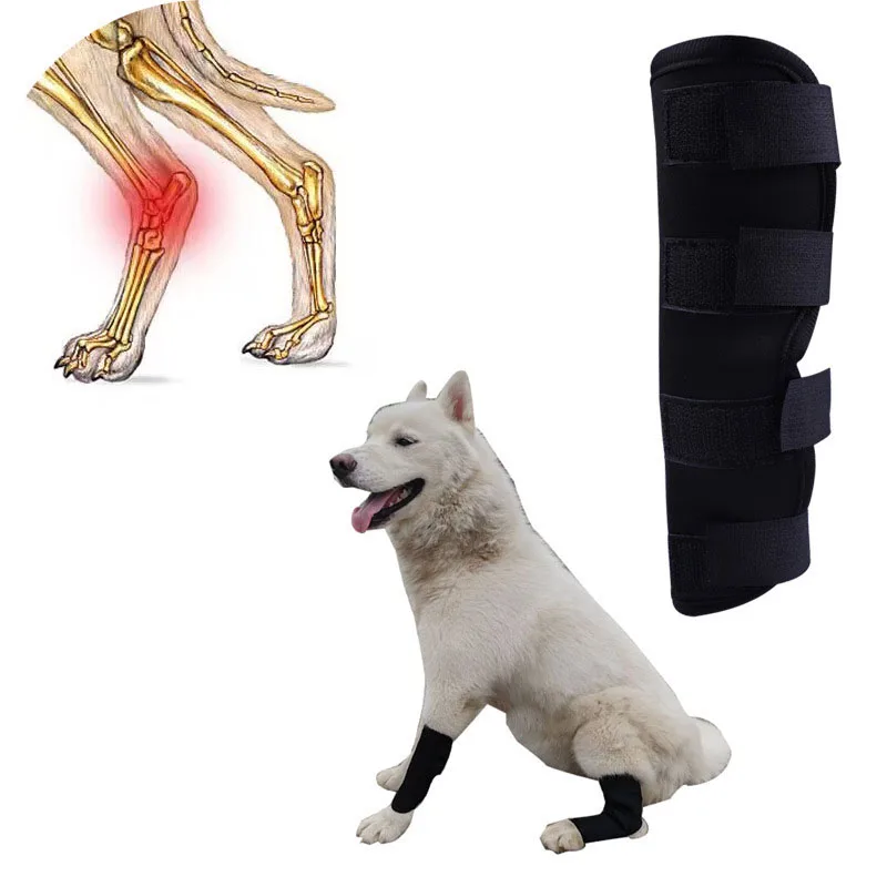 Joelheira para Cães de Recuperação Anti-Lambedura Pós-Operatória - Imagem 2