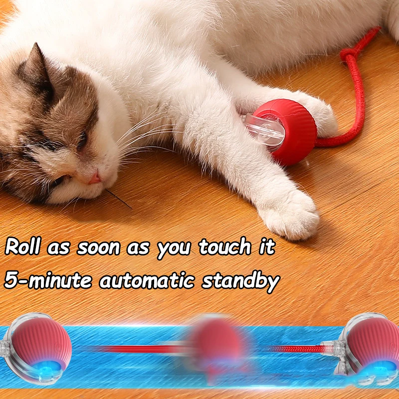 Brinquedo Bola Rolante para Gatos e Cães Recarregável USB com Rota Inteligente - Imagem 4