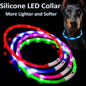 coleira de led para cães recarregável
