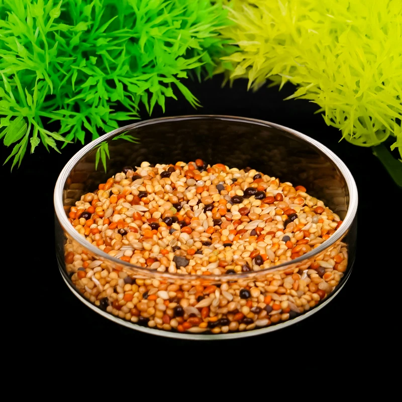 Alimentador para Aquário de Vidro Transparente Flutuante 6,0 cm - Imagem 5