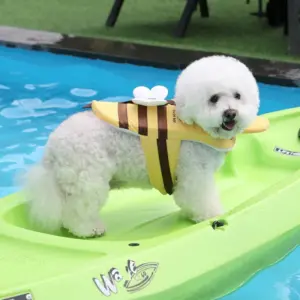 colete salva-vidas para cães pequenos