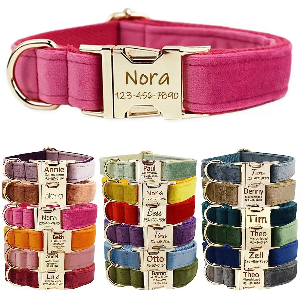 coleira de veludo personalizada para cães