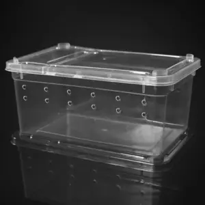 caixa de alimentação para répteis transparente