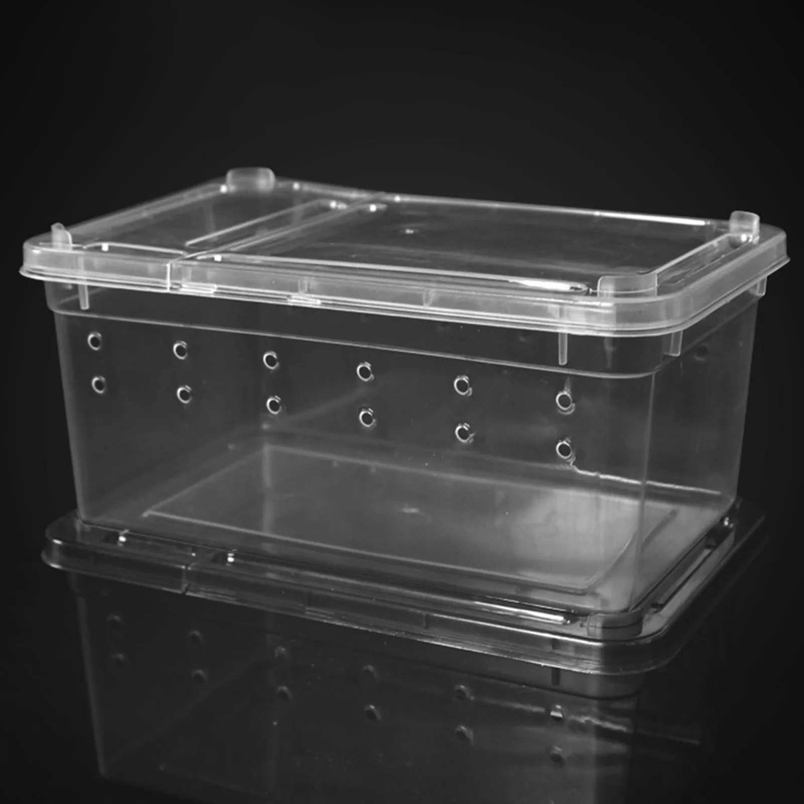 caixa de alimentação para répteis transparente