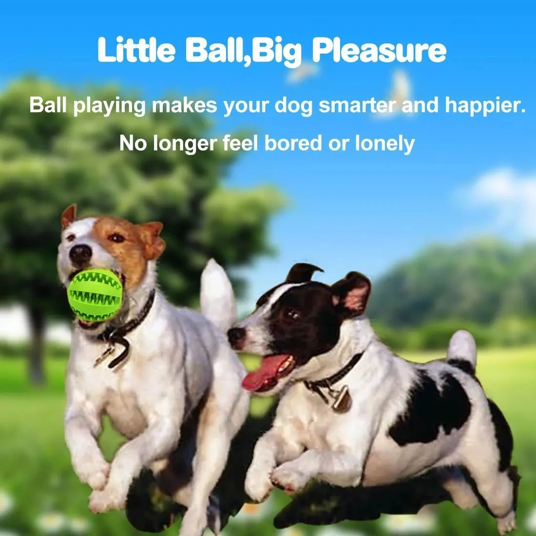 Brinquedo Bola para Cães Interativo de Borracha Resistente para Mastigar - Imagem 2