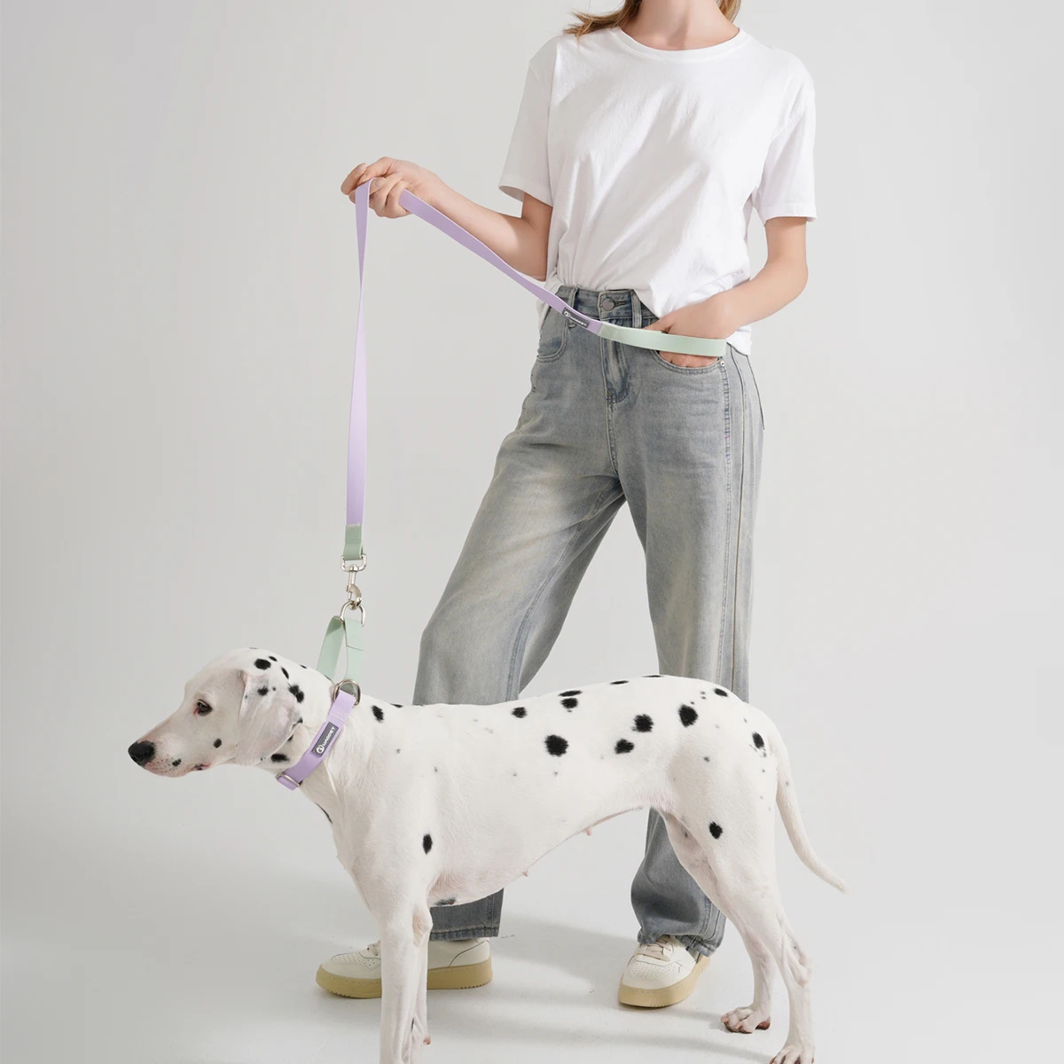 Coleira para Cães Médios e Grandes Ajustável e À Prova D'Água - Imagem 2